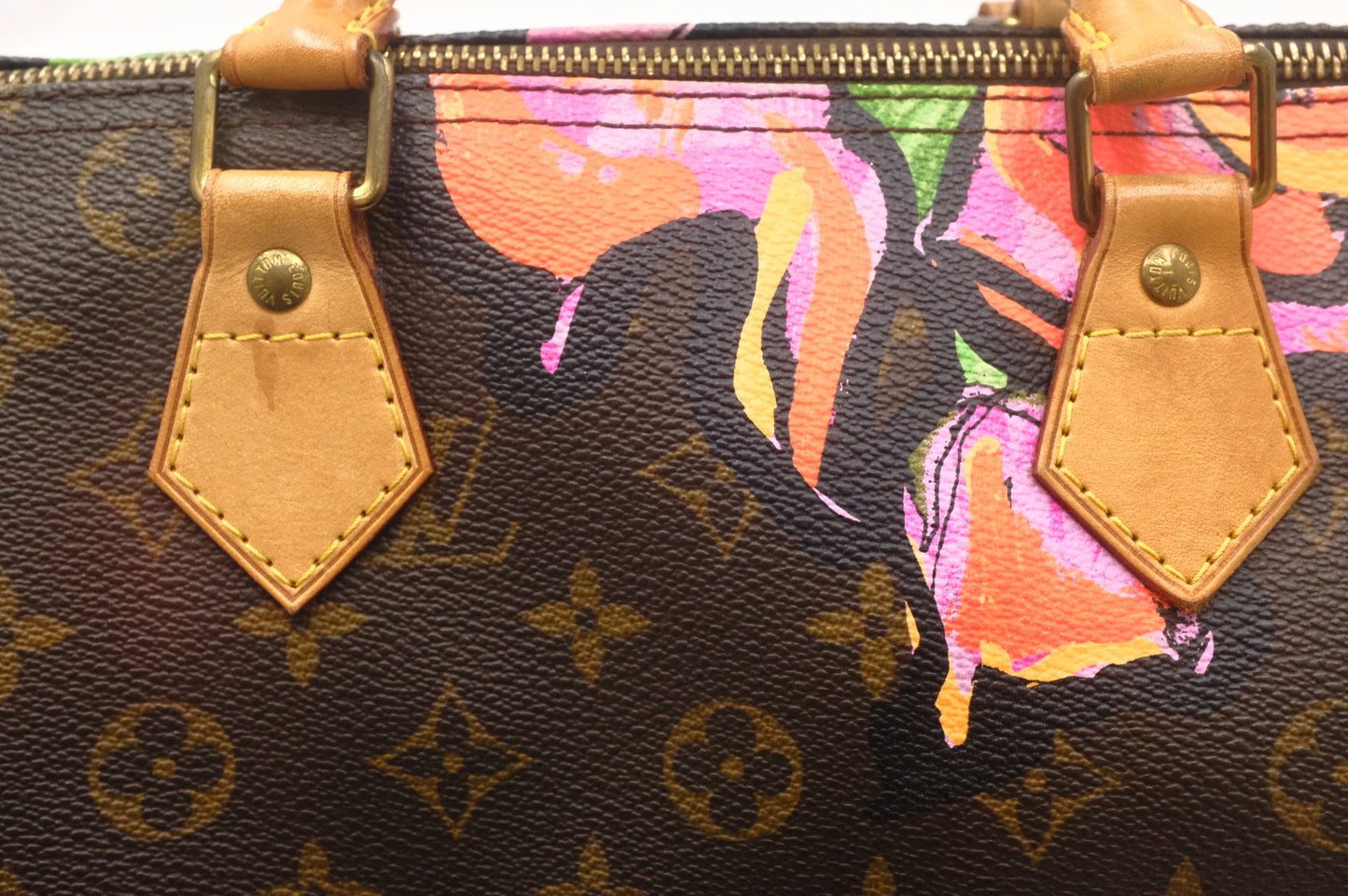 Louis Vuitton x Stephen Sprouse Speedy 30 in Roses Monogram Canvas