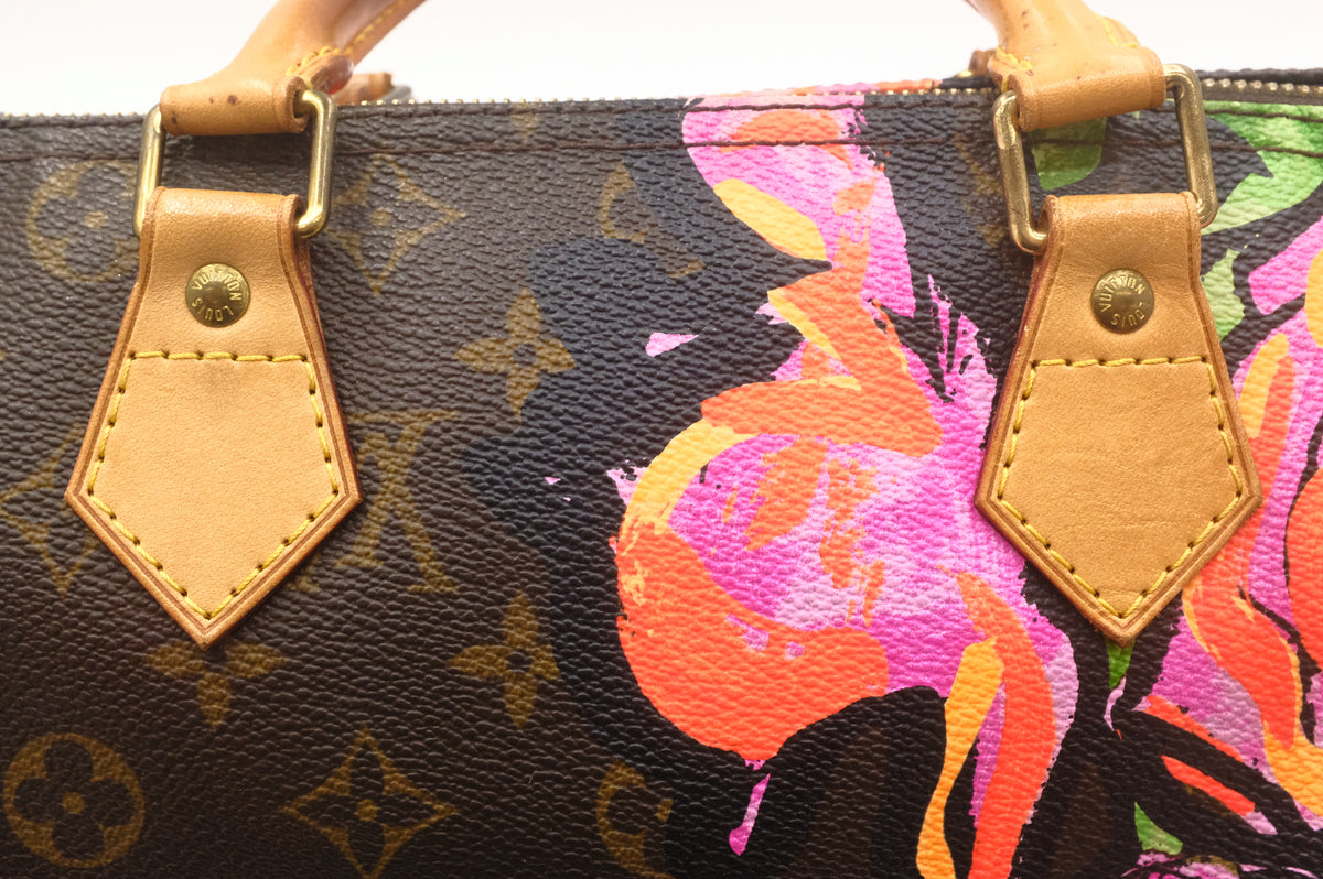 Louis Vuitton x Stephen Sprouse Speedy 30 in Roses Monogram Canvas