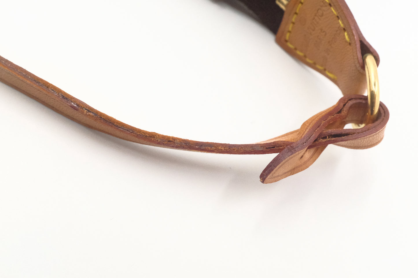 Louis Vuitton Pochette Accessoires in Monogram Canvas