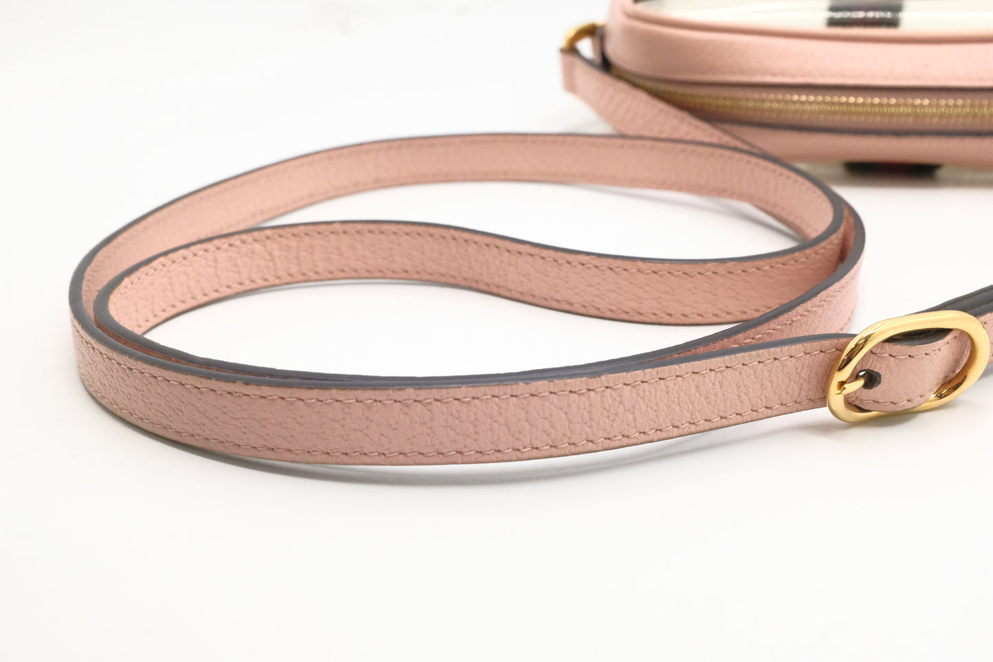 Gucci Ophidia Crossbody in Clear PVC and Pink Leather