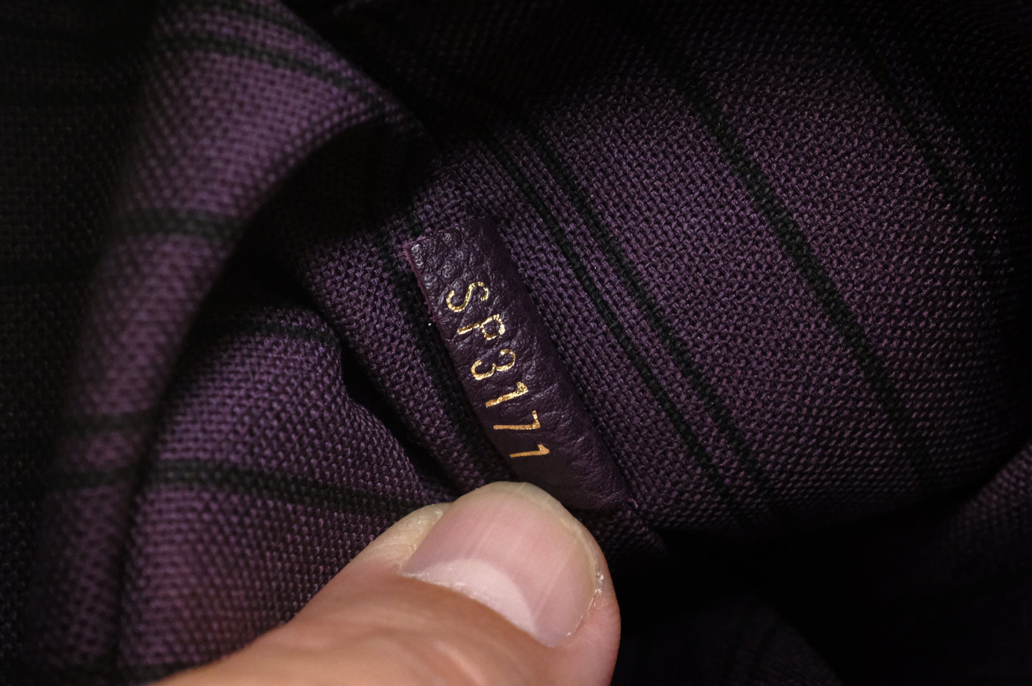 Louis Vuitton Lumineuse PM in Purple Empreinte Leather