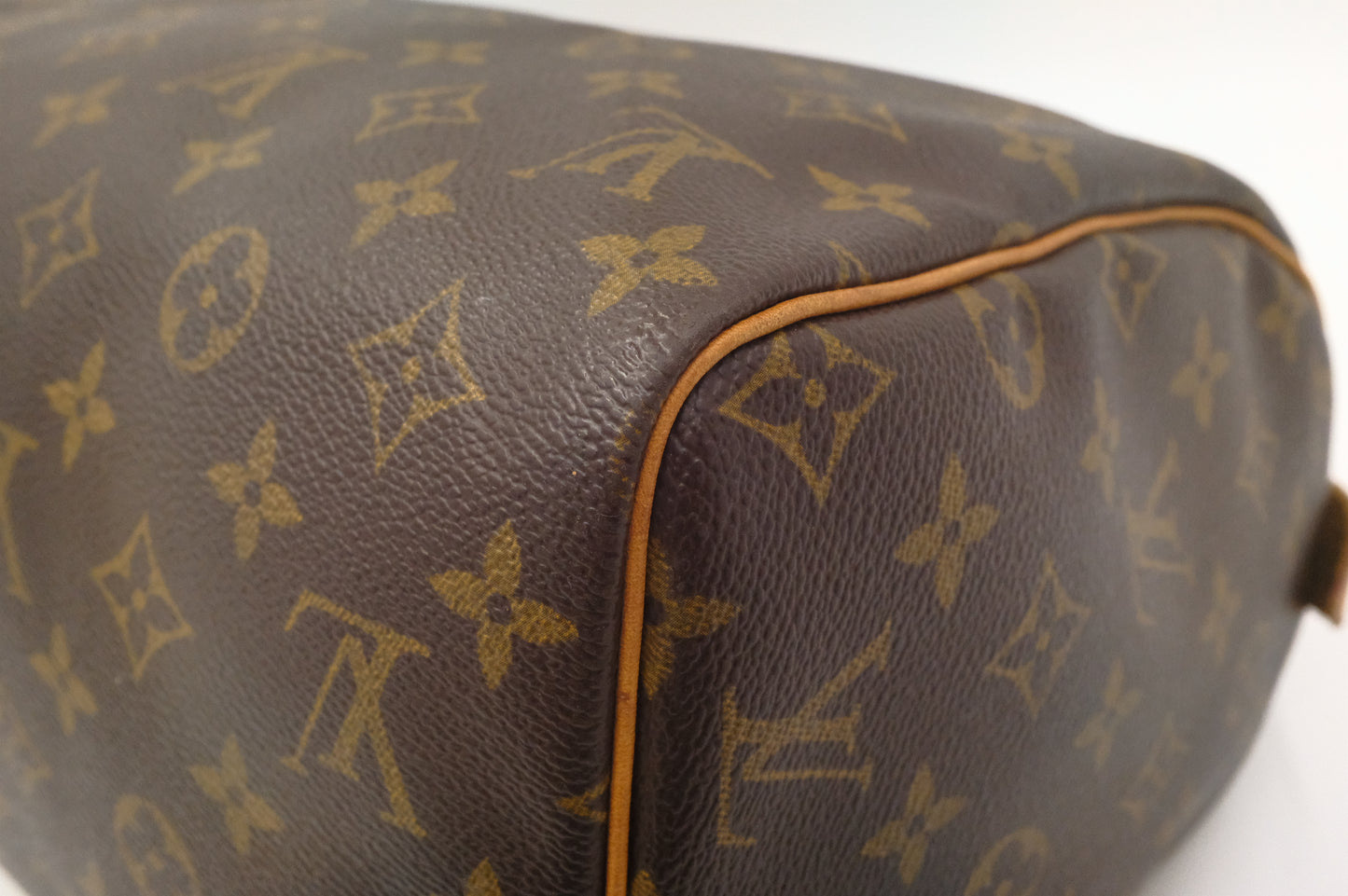 Louis Vuitton Speedy 30 in Monogram Canvas
