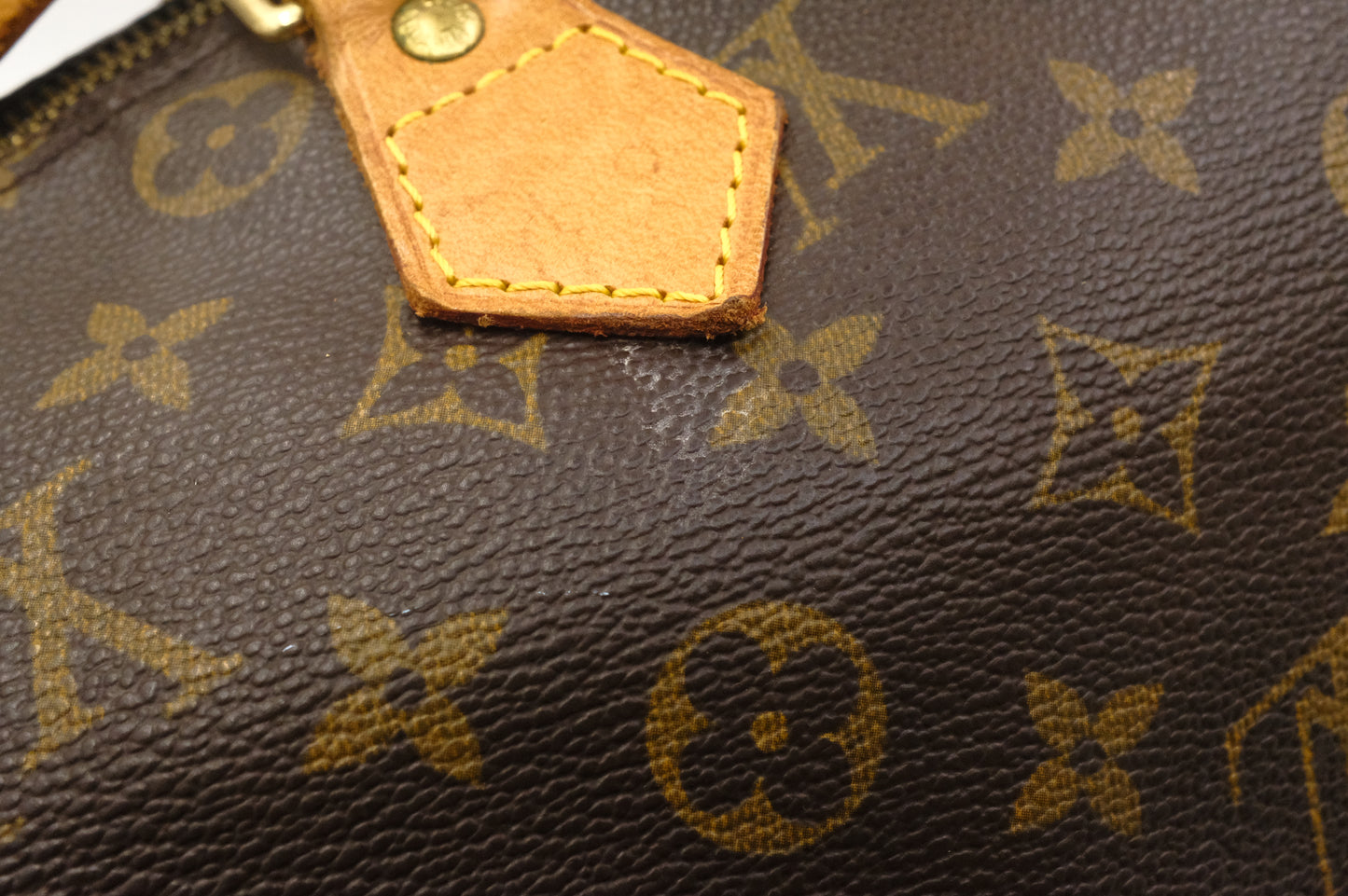 Louis Vuitton Speedy 30 in Monogram Canvas