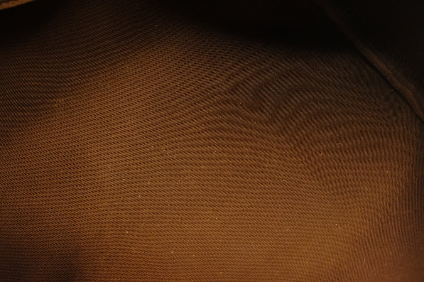 Louis Vuitton Speedy 30 in Monogram Canvas