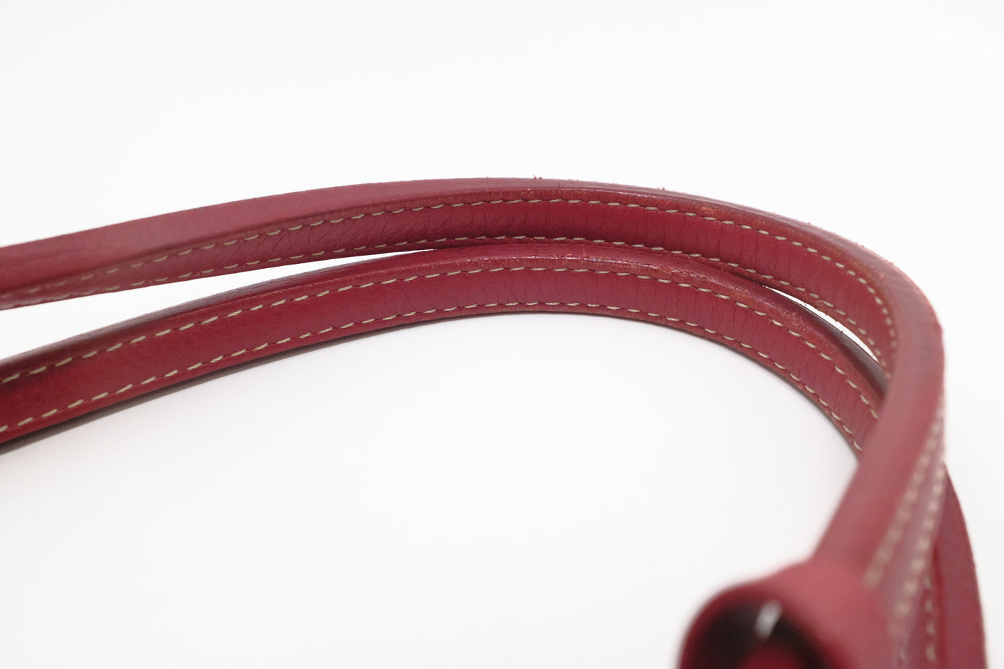 Goyard Saint Louis PM in Red Goyardine Canvas