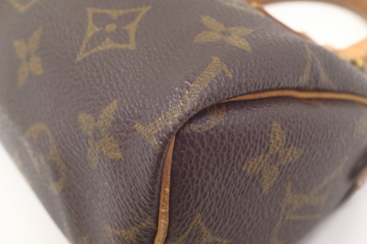 Louis Vuitton Mini Speedy in Monogram Canvas