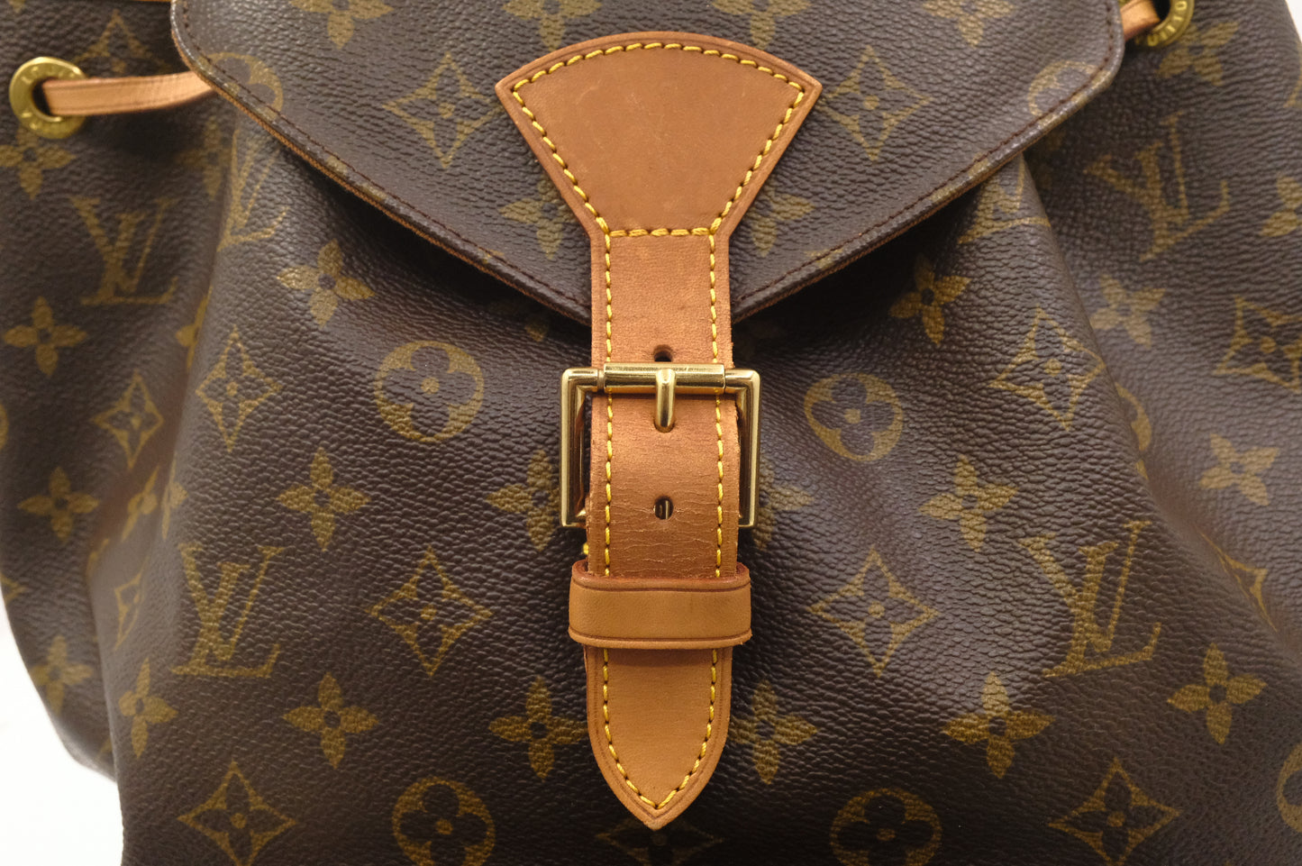 Louis Vuitton Montsouris GM in Monogram Canvas