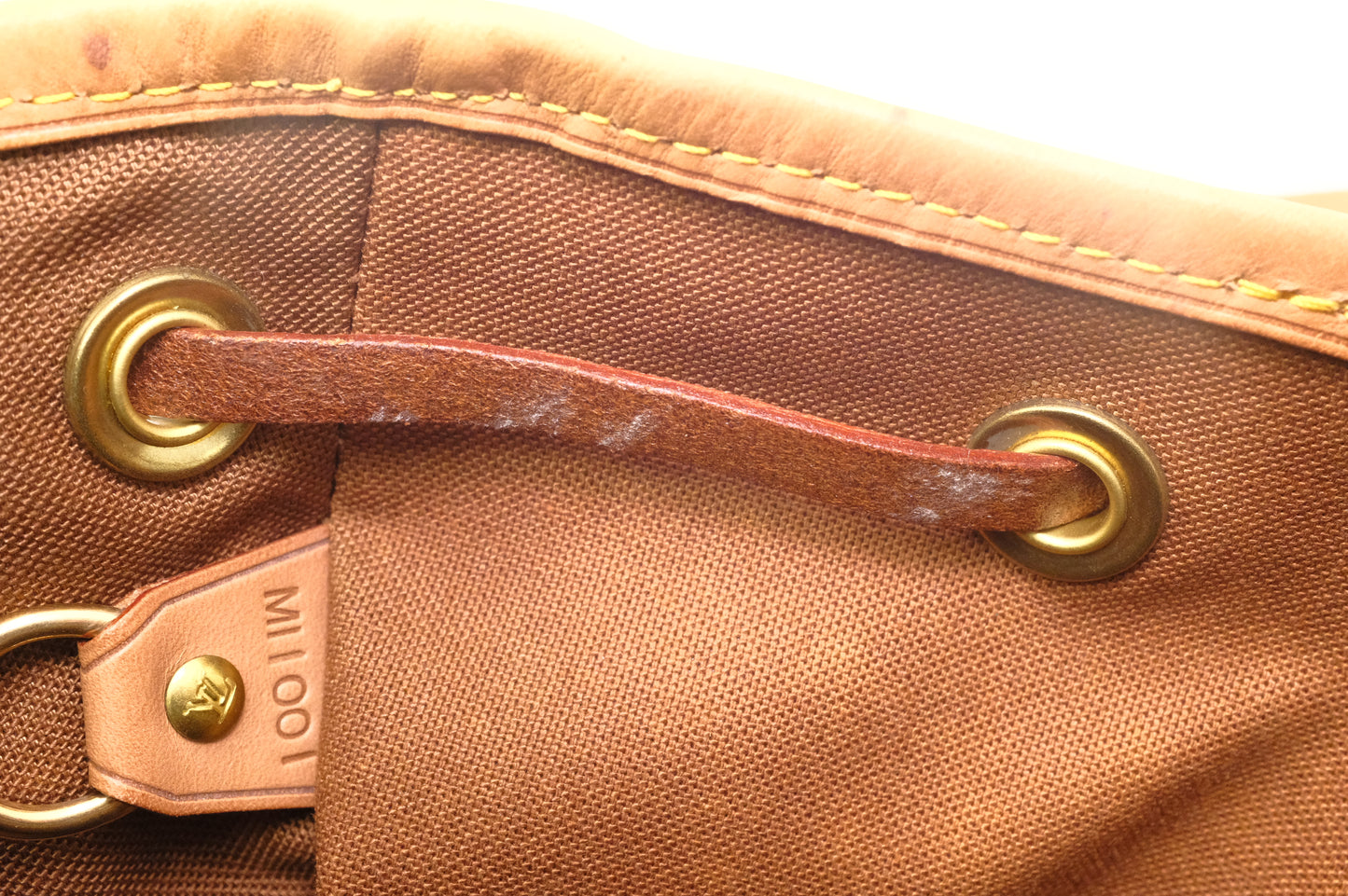 Louis Vuitton Montsouris GM in Monogram Canvas