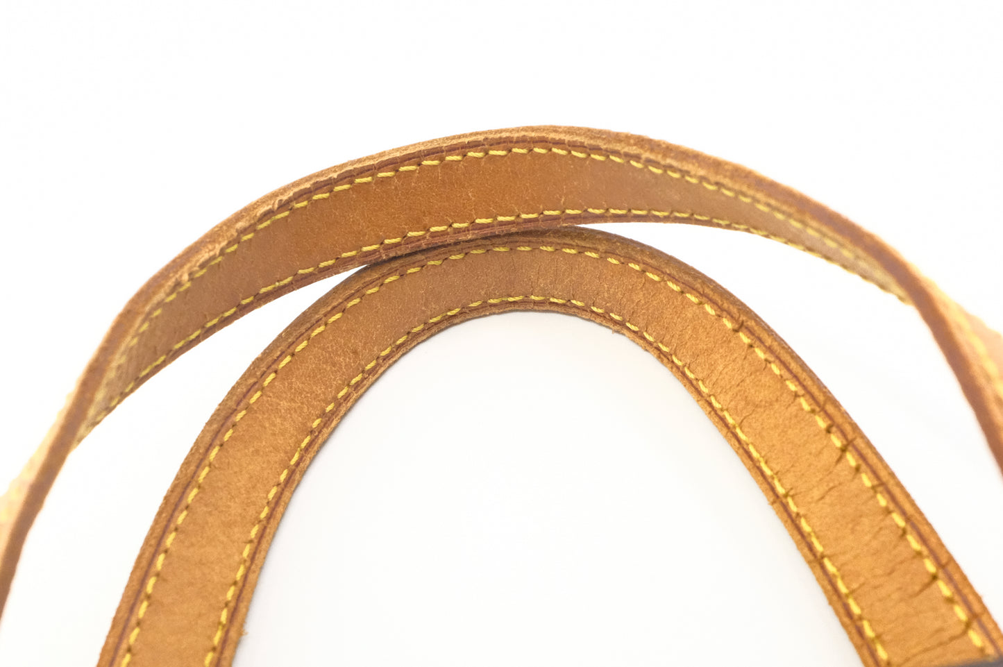 Louis Vuitton Vavin PM in Monogram Canvas