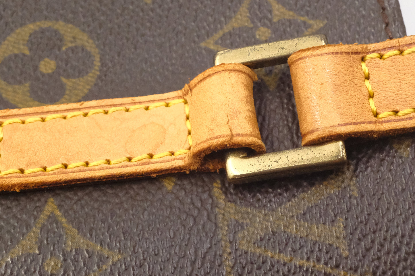 Louis Vuitton Vavin PM in Monogram Canvas