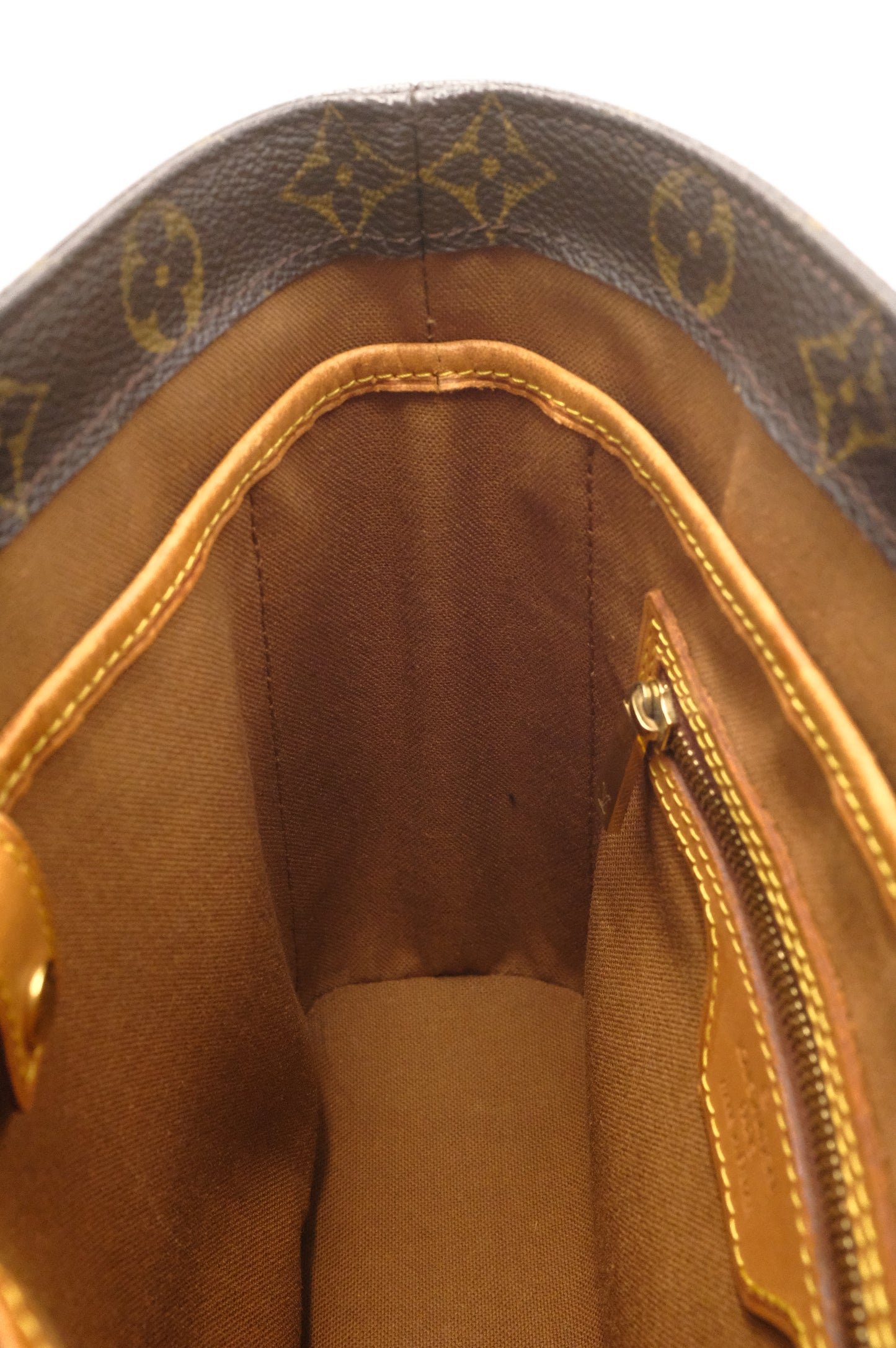 Louis Vuitton Vavin PM in Monogram Canvas