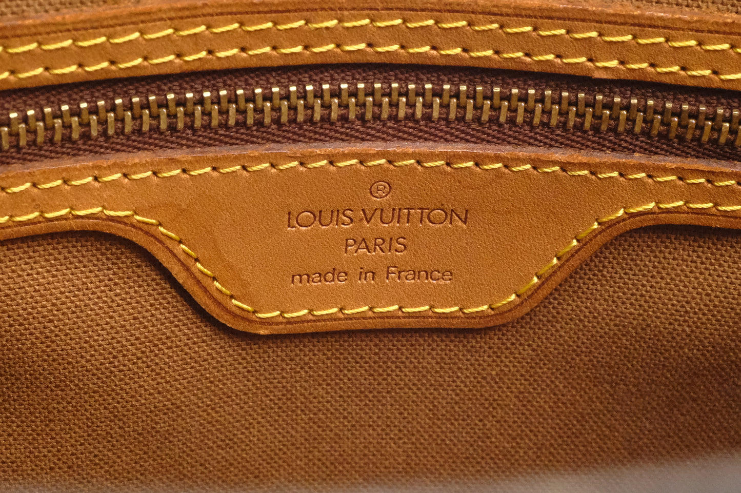 Louis Vuitton Vavin PM in Monogram Canvas