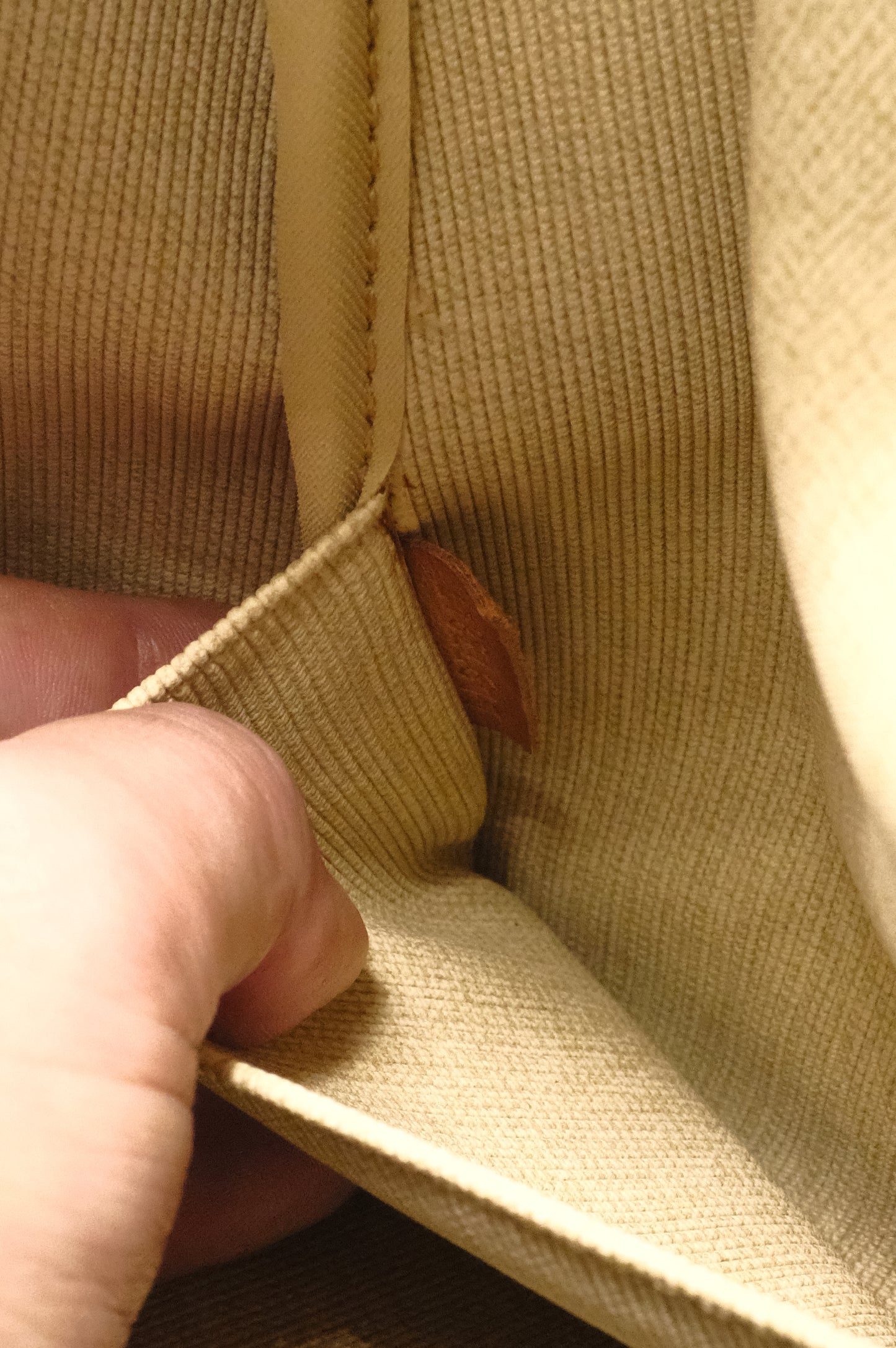 Louis Vuitton Sac Sport in Monogram Canvas