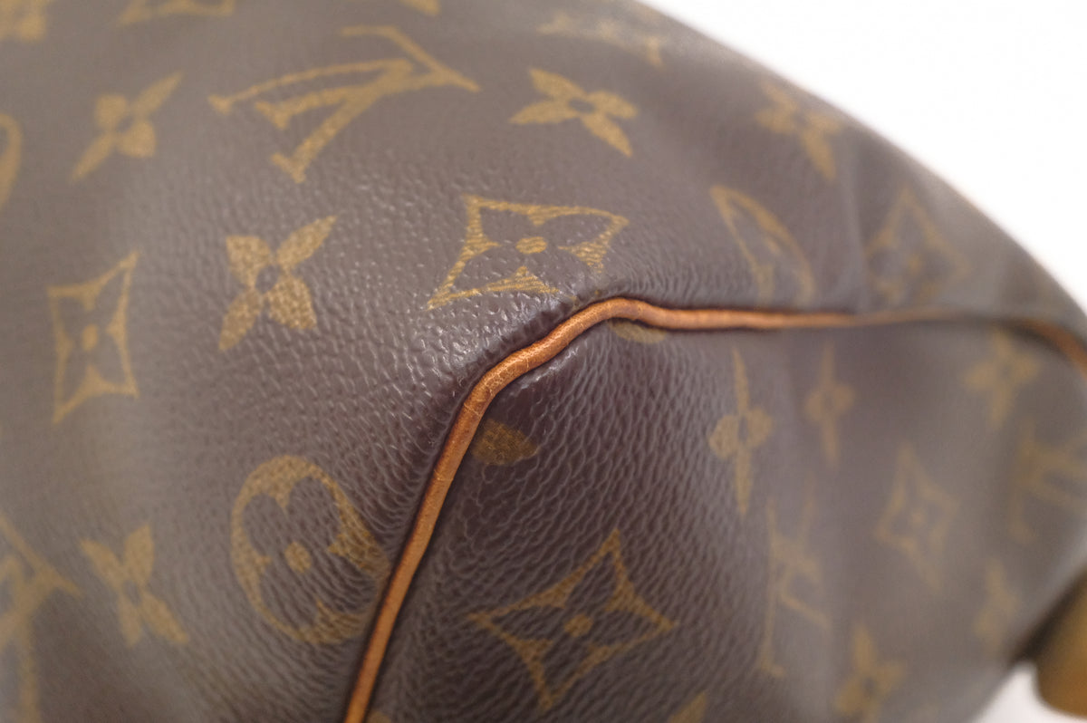 Louis Vuitton Speedy 25 in Monogram Canvas