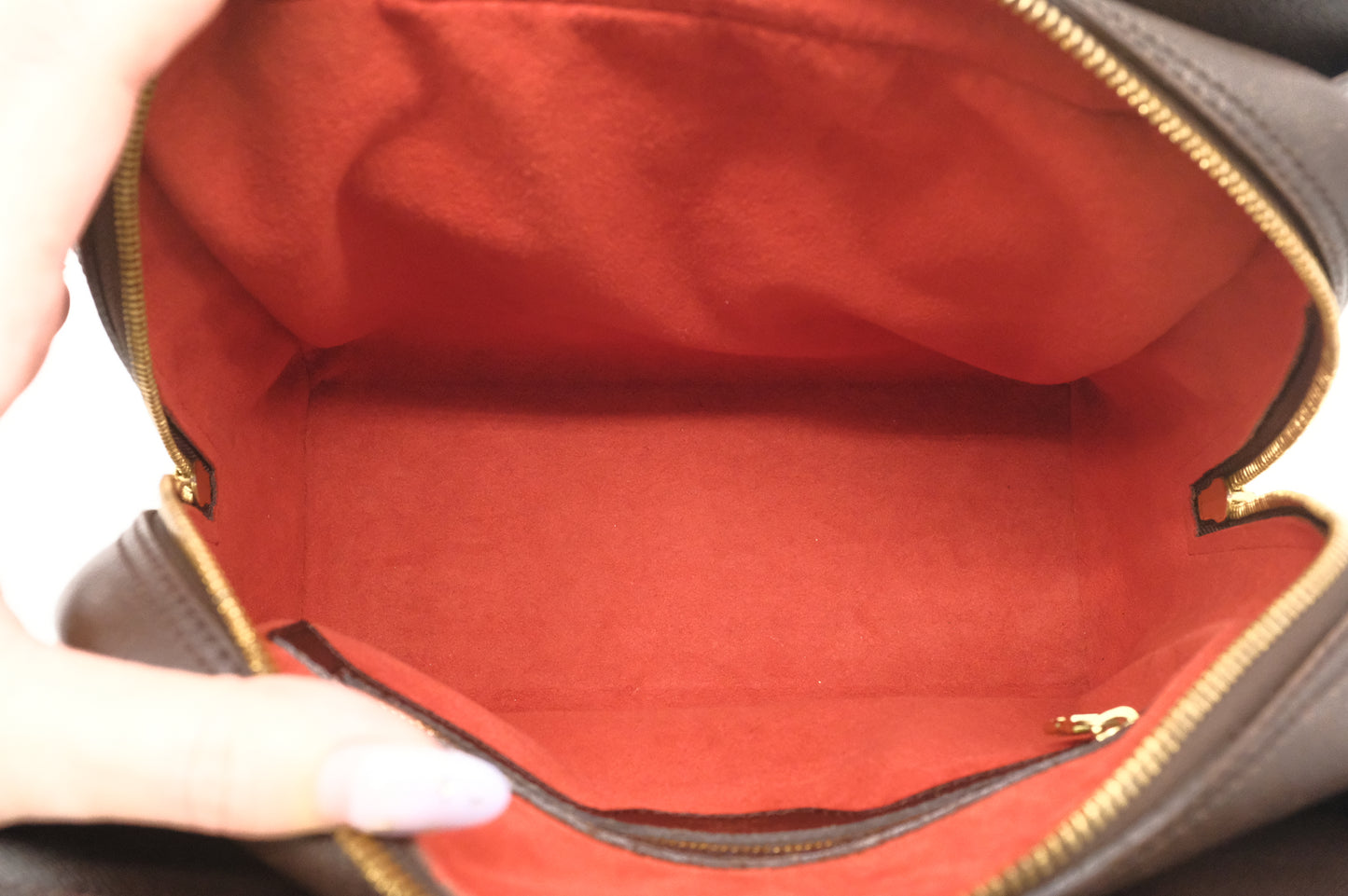 Louis Vuitton Triana Handbag in Damier Ebene Canvas