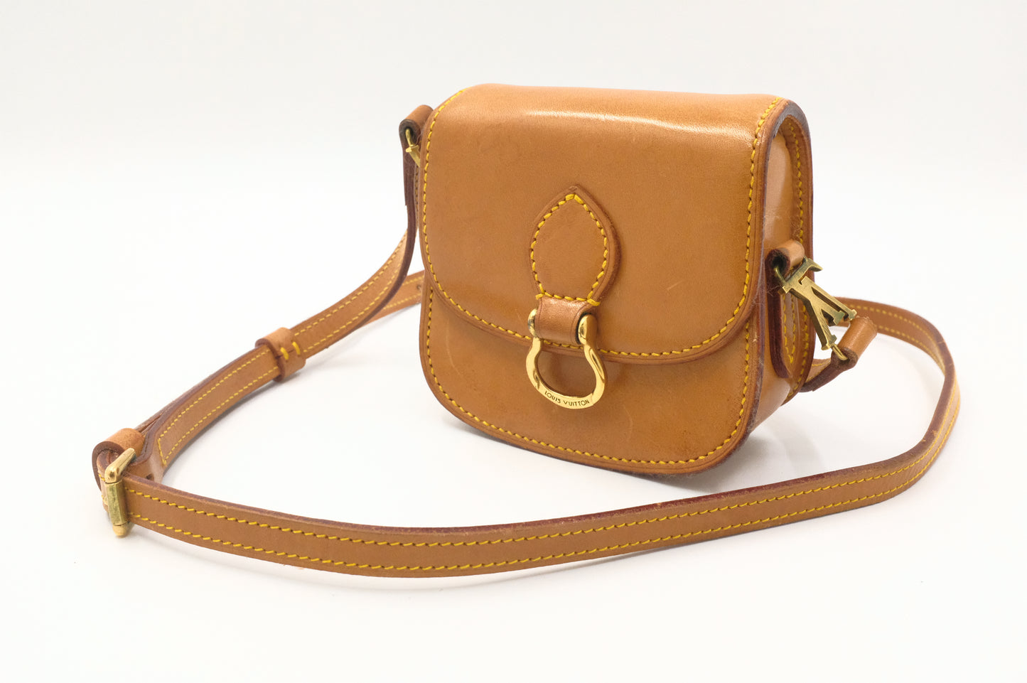 Louis Vuitton Mini Saint Cloud in Nomade Leather