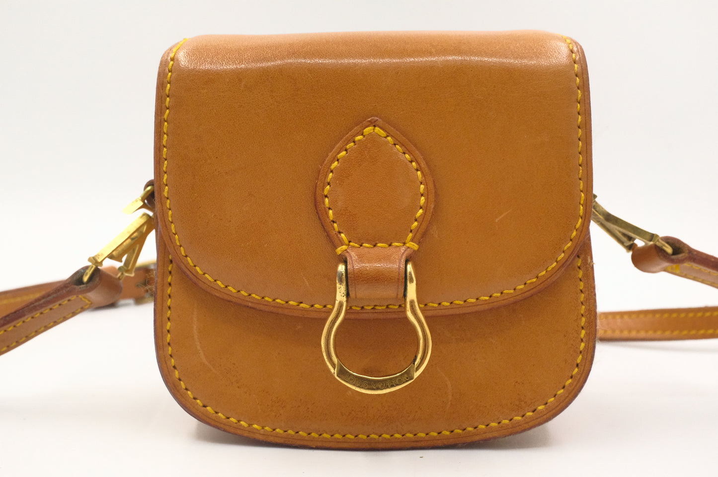 Louis Vuitton Mini Saint Cloud in Nomade Leather