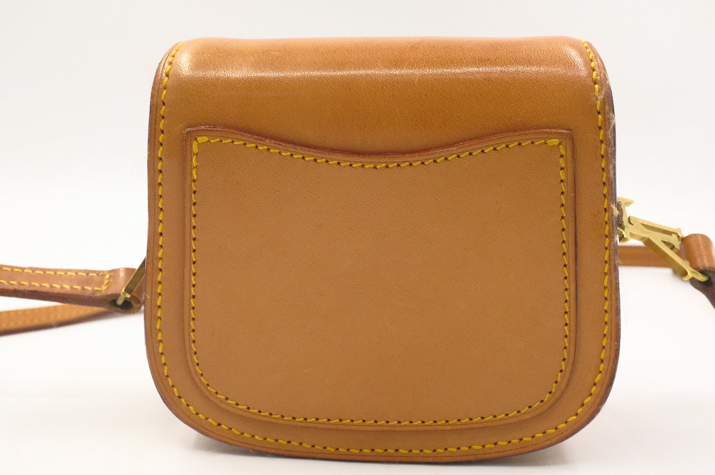 Louis Vuitton Mini Saint Cloud in Nomade Leather