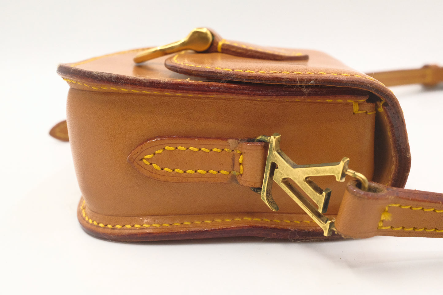 Louis Vuitton Mini Saint Cloud in Nomade Leather