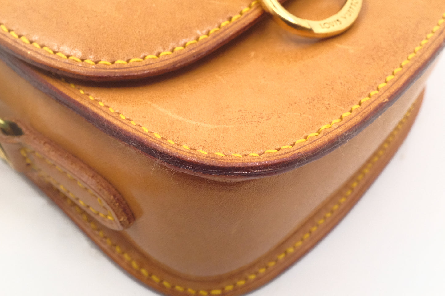 Louis Vuitton Mini Saint Cloud in Nomade Leather