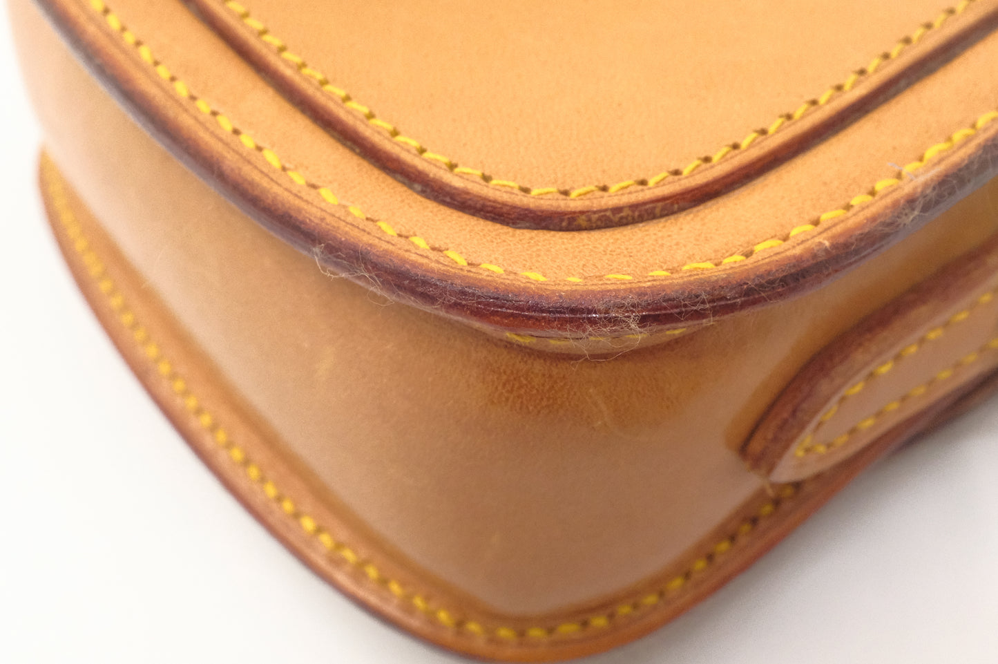 Louis Vuitton Mini Saint Cloud in Nomade Leather