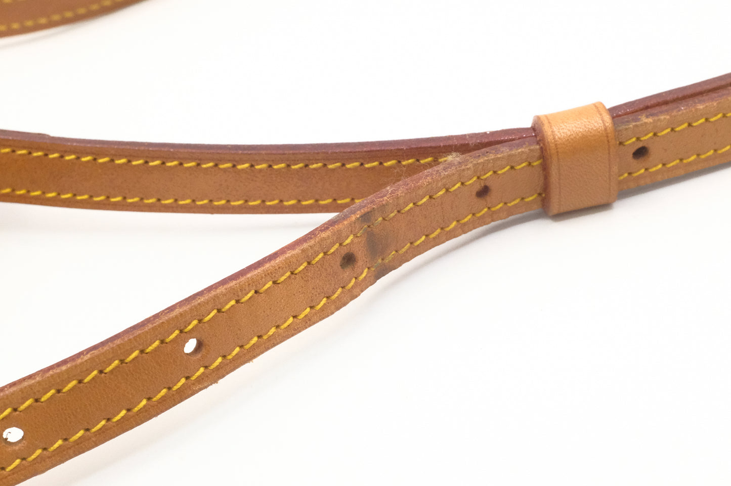 Louis Vuitton Mini Saint Cloud in Nomade Leather