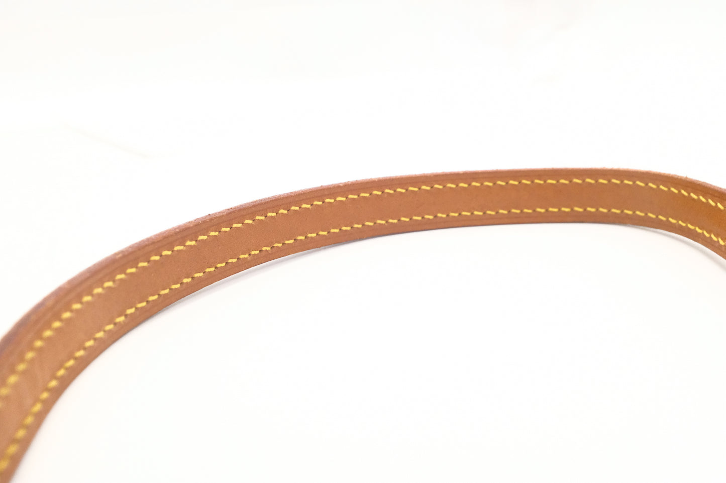 Louis Vuitton Mini Saint Cloud in Nomade Leather