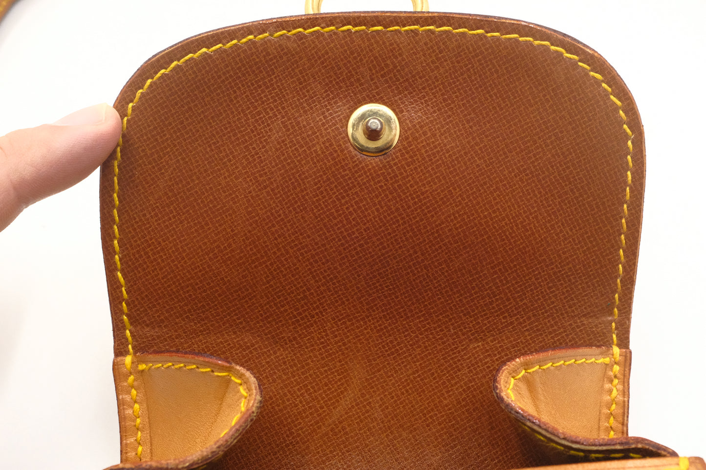 Louis Vuitton Mini Saint Cloud in Nomade Leather