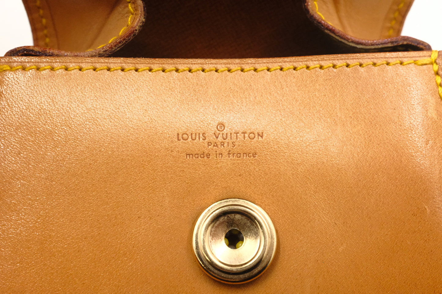 Louis Vuitton Mini Saint Cloud in Nomade Leather