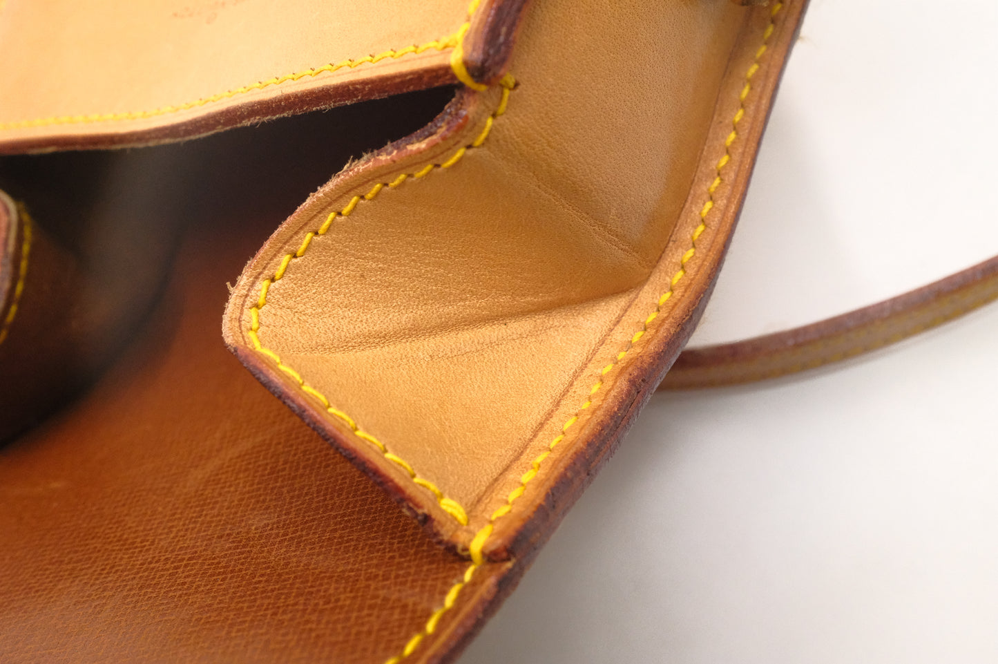 Louis Vuitton Mini Saint Cloud in Nomade Leather