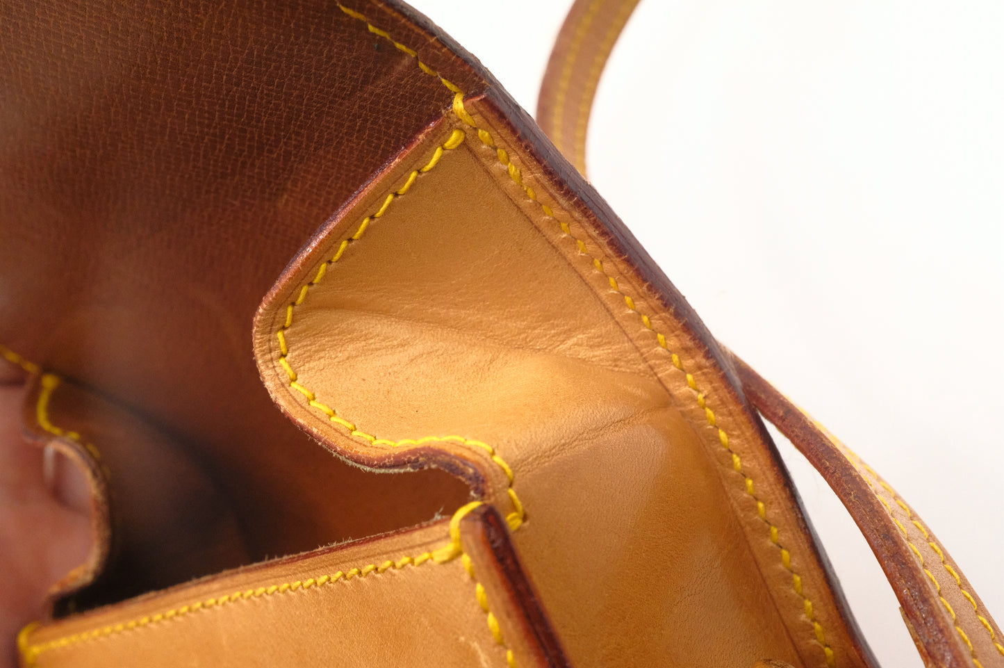 Louis Vuitton Mini Saint Cloud in Nomade Leather