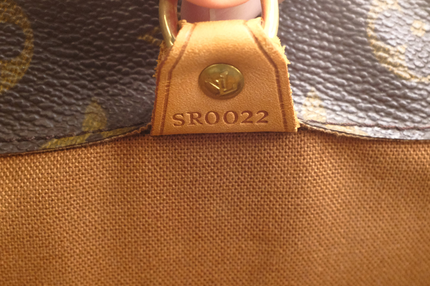 Louis Vuitton Vavin GM in Monogram Canvas