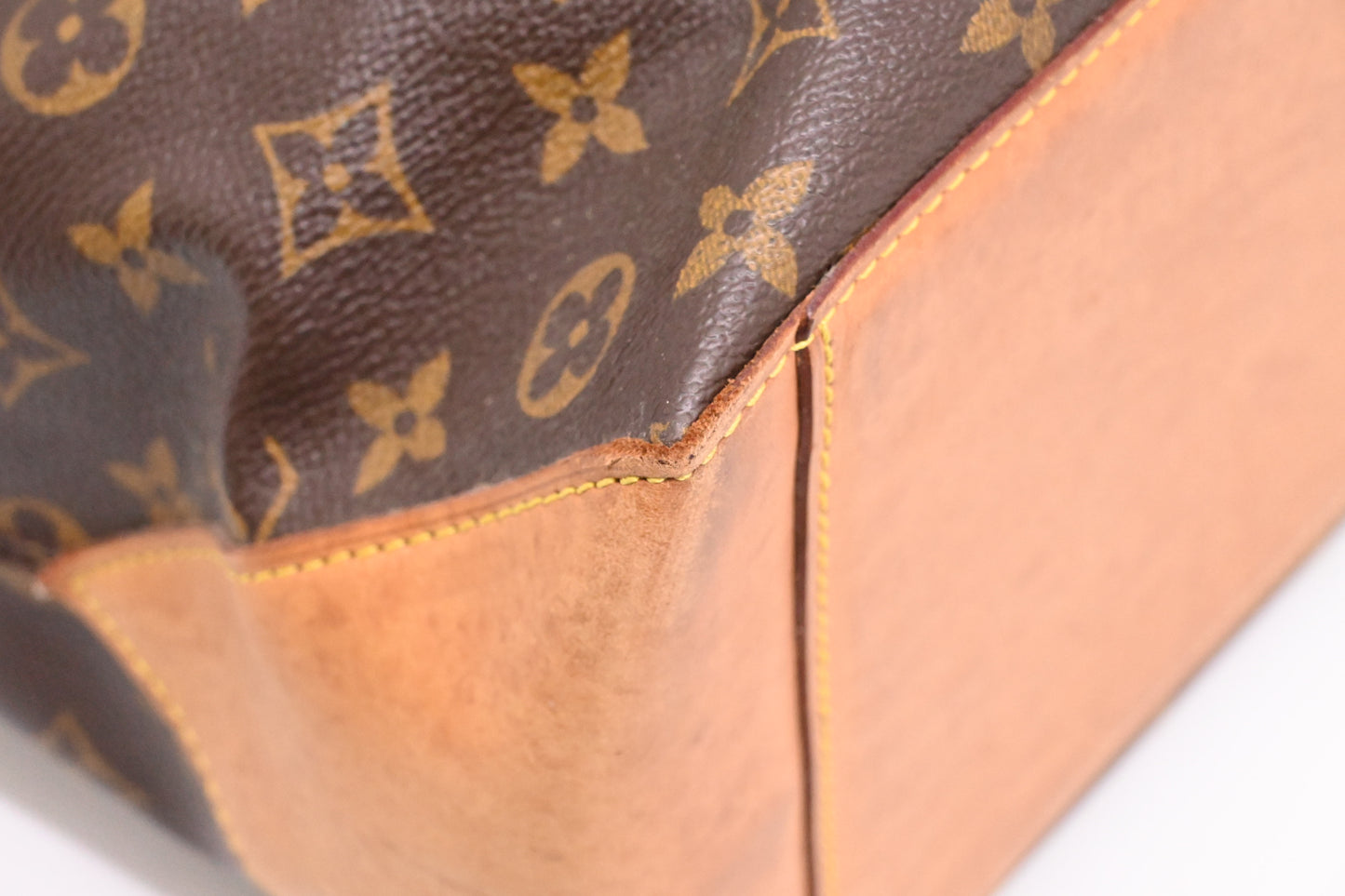Louis Vuitton Cabas Alto in Monogram Canvas