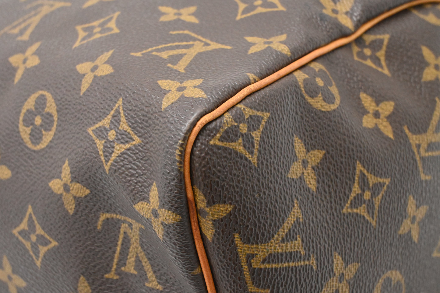Louis Vuitton Speedy 30 in Monogram Canvas