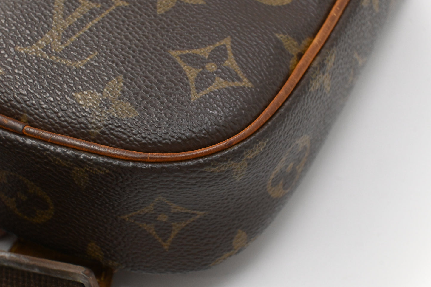 Louis Vuitton Pochette Gange in Monogram Canvas