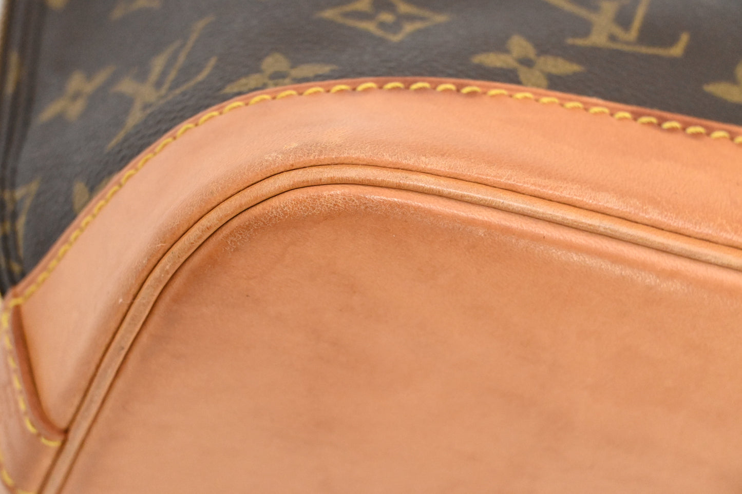 Louis Vuitton Alma PM in Monogram Canvas