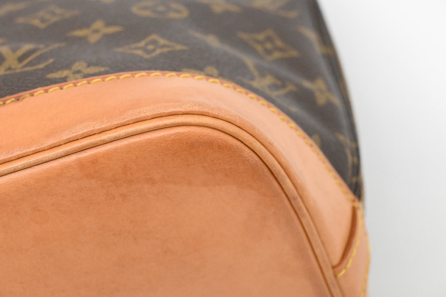 Louis Vuitton Alma PM in Monogram Canvas