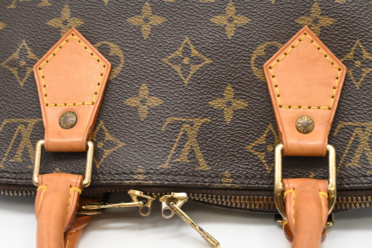 Louis Vuitton Alma PM in Monogram Canvas