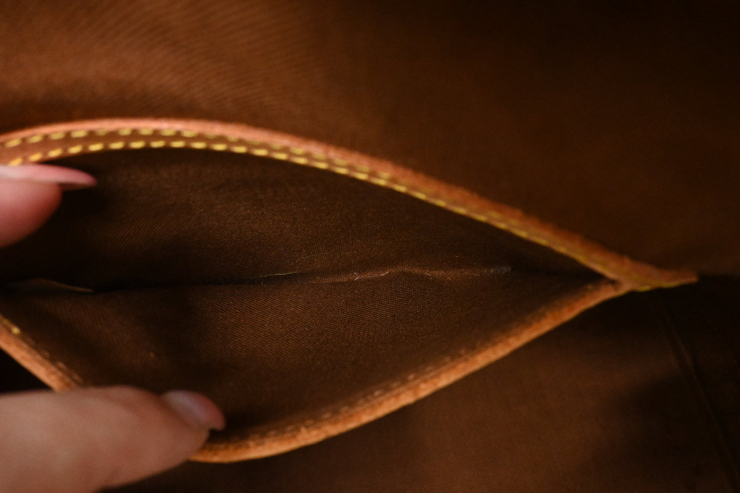 Louis Vuitton Alma PM in Monogram Canvas