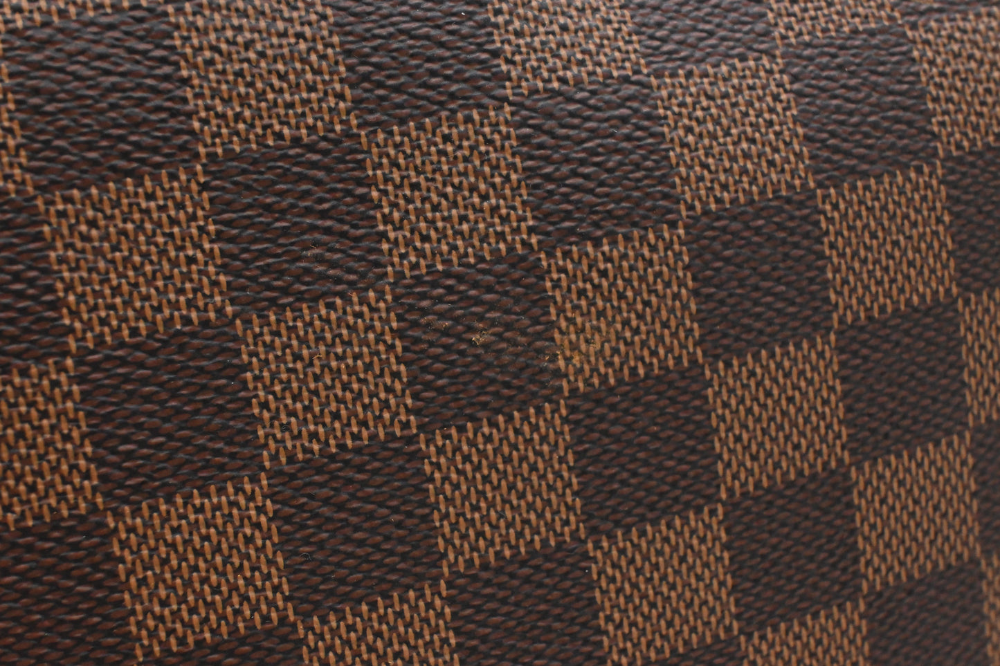 Louis Vuitton Lena MM in Damier Ebene Canvas