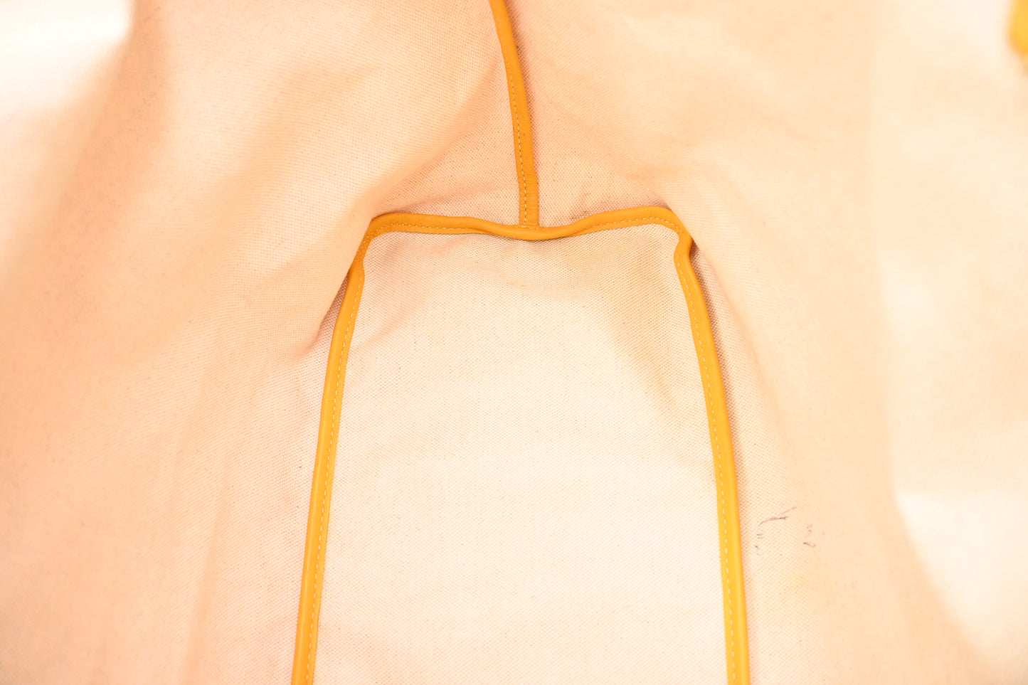 Goyard Saint Louis PM in Yellow Goyardine Canvas