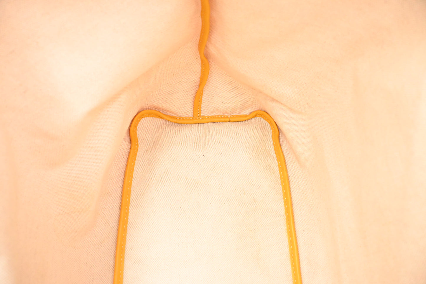 Goyard Saint Louis PM in Yellow Goyardine Canvas