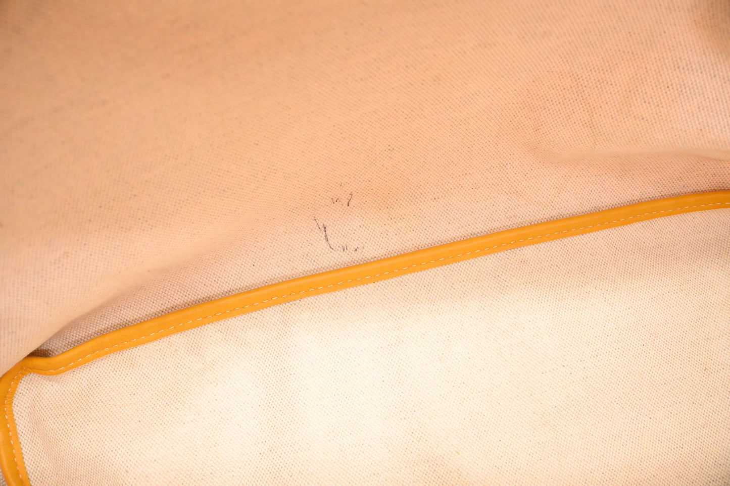 Goyard Saint Louis PM in Yellow Goyardine Canvas