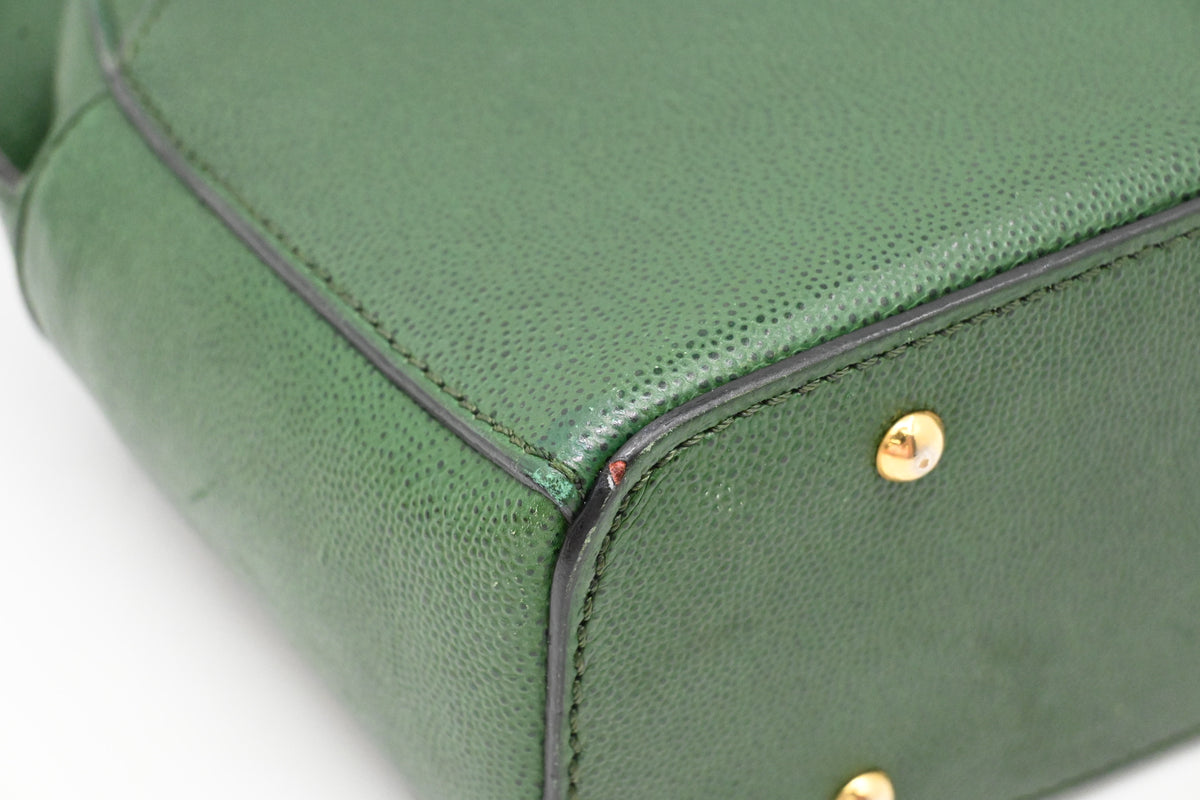 Celine Crossbody Bag in Green Leather