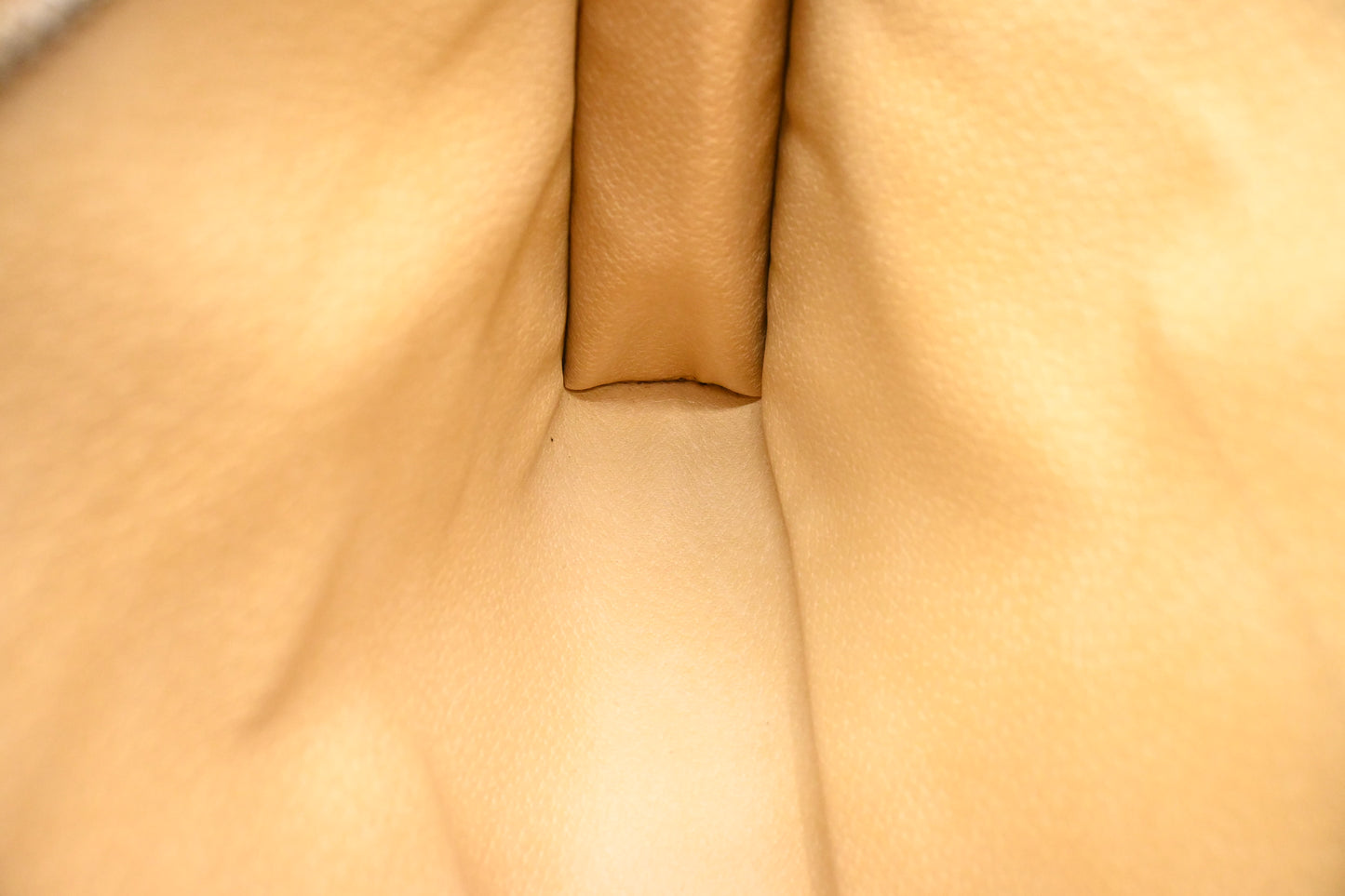Celine Clutch in Brown Macadam Canvas