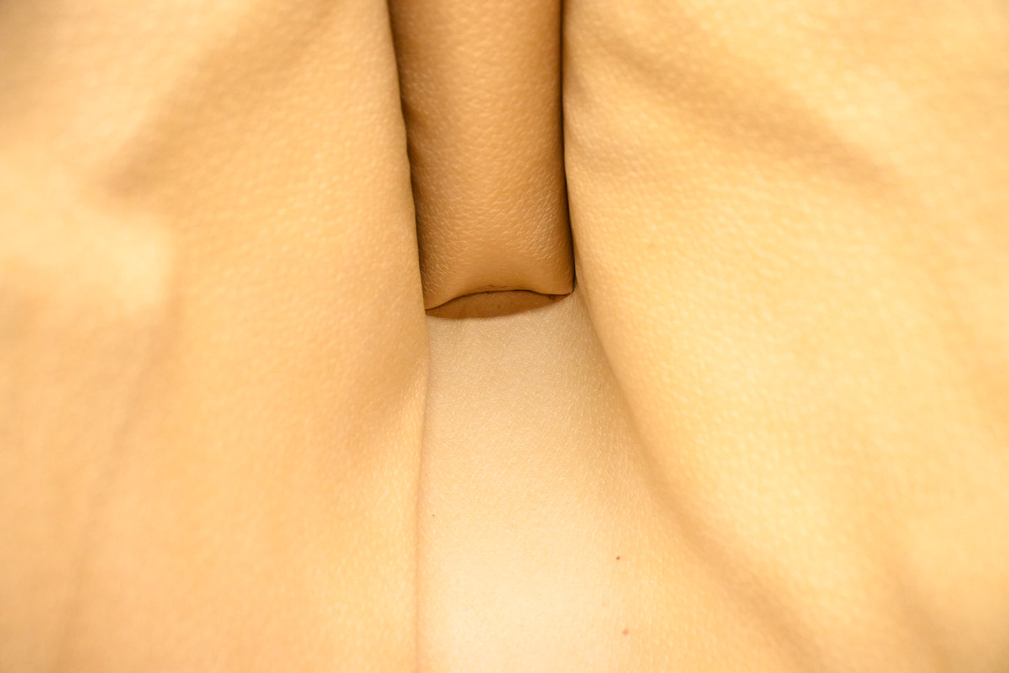Celine Clutch in Brown Macadam Canvas