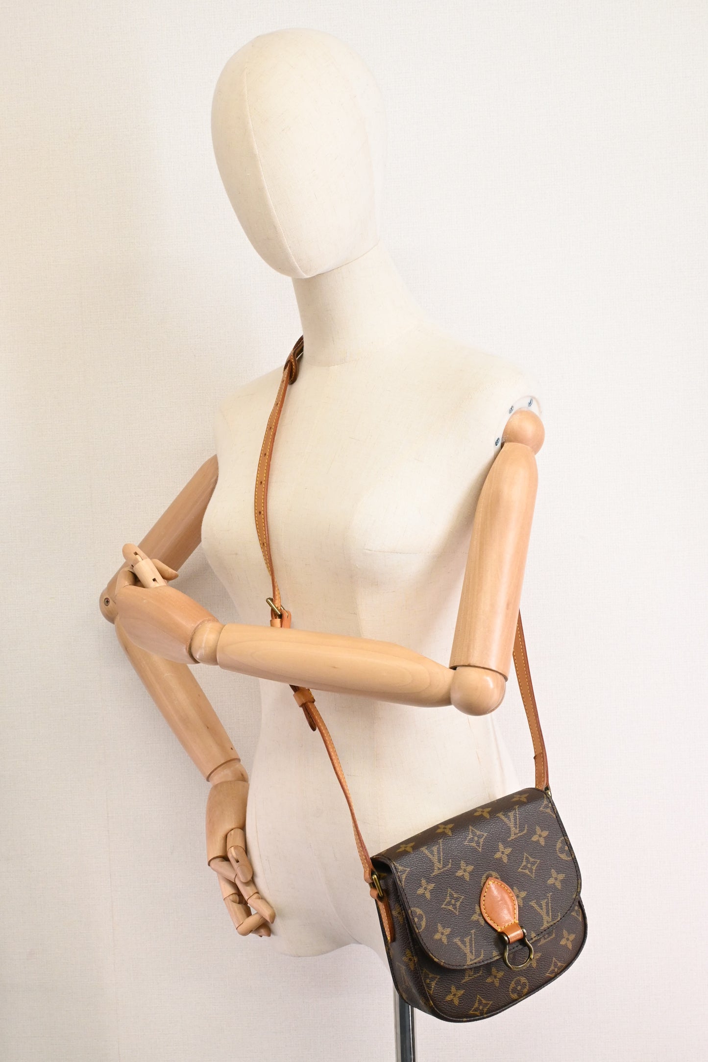 Louis Vuitton Saint Cloud PM in Monogram Canvas