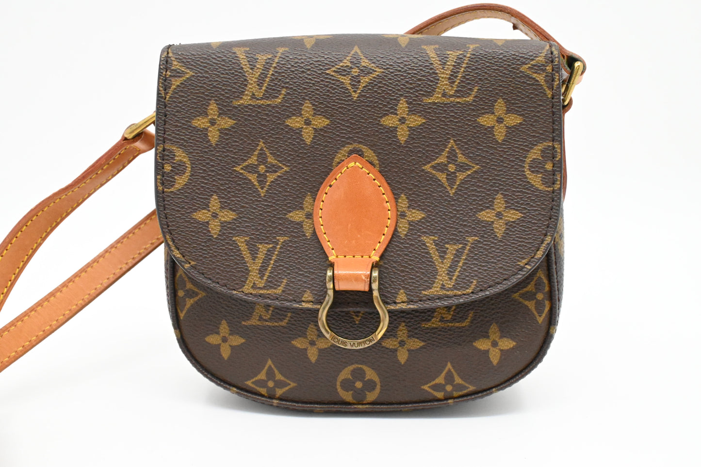 Louis Vuitton Saint Cloud PM in Monogram Canvas