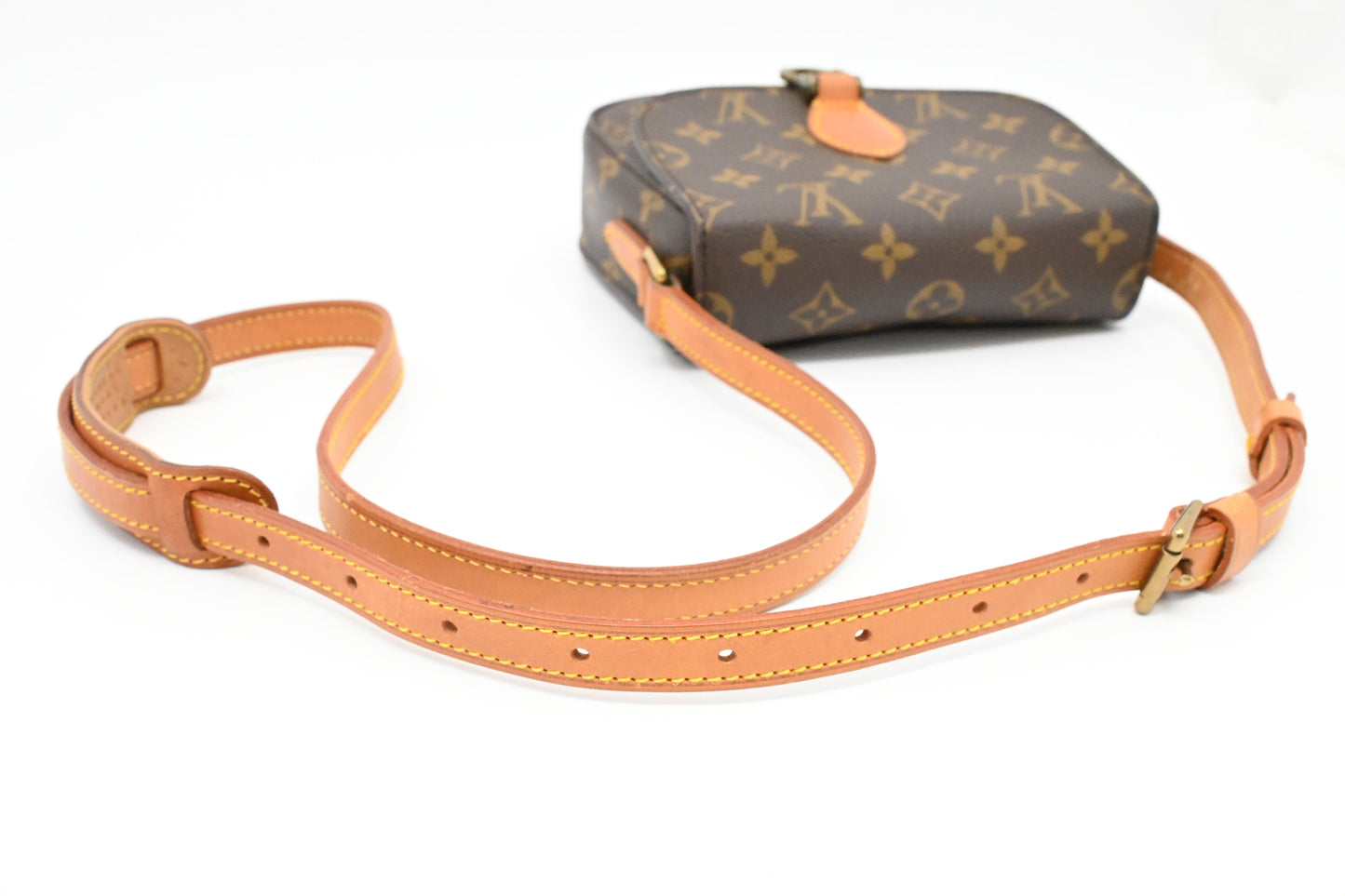Louis Vuitton Saint Cloud PM in Monogram Canvas
