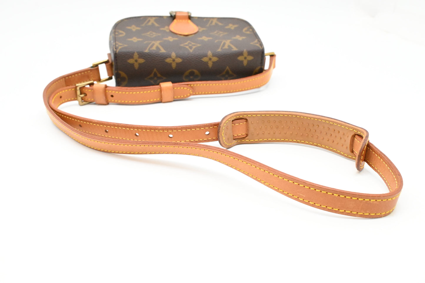 Louis Vuitton Saint Cloud PM in Monogram Canvas